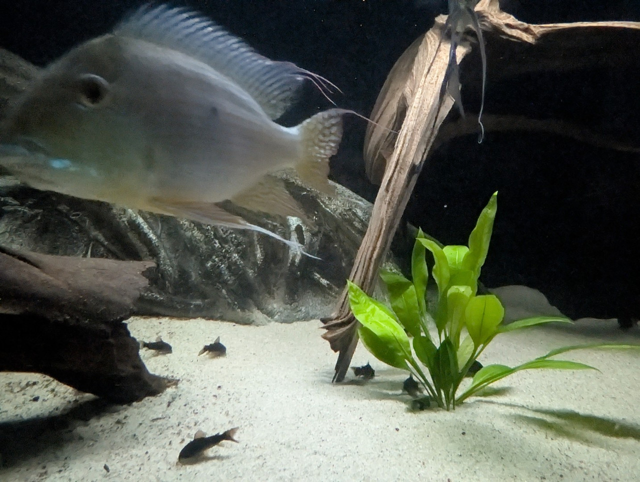 PXL 20251227 193849231 RAW 01 COVER