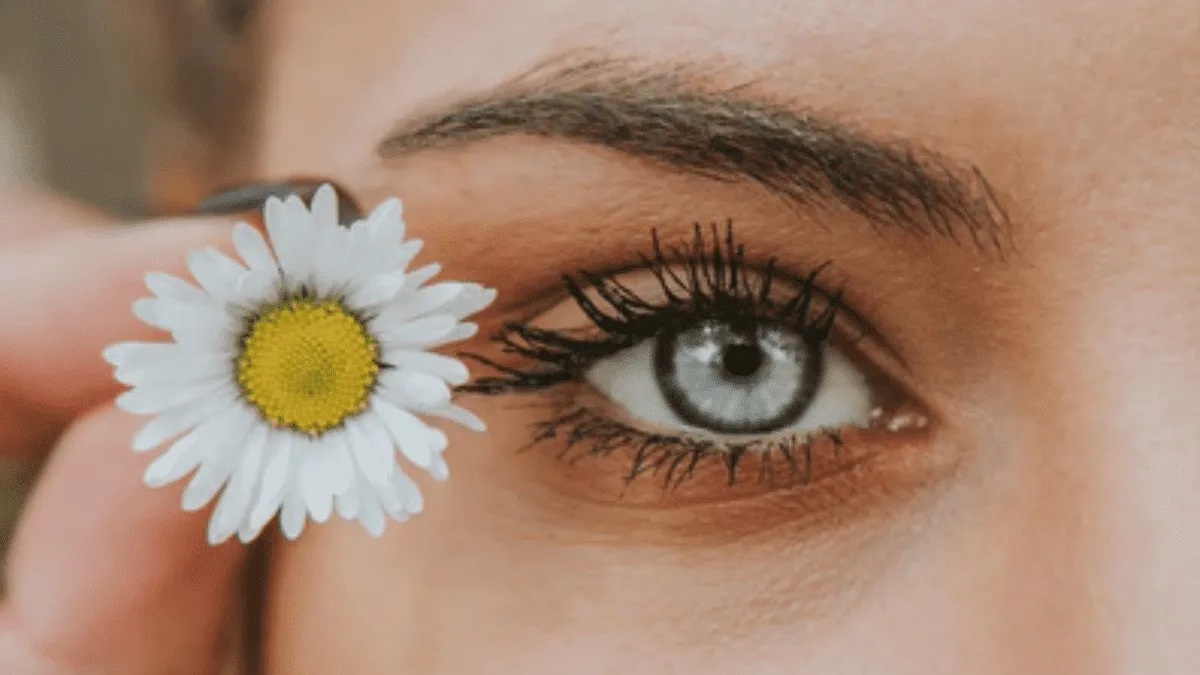 ¿Cómo usar la manzanilla para hacer crecer las pestañas?