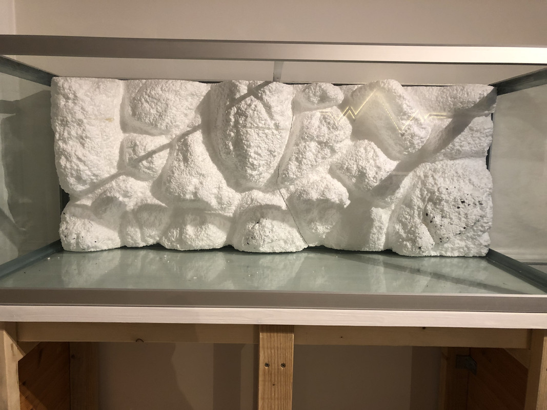 402E9331-5B68-499D-928D-1830A5D7A0C9