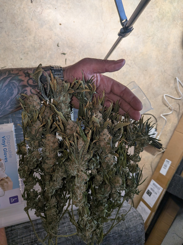 PXL 20260918 143029964