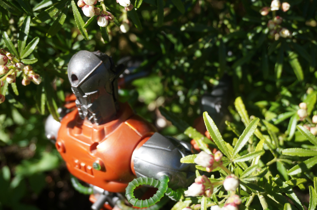 Toxic robot pruning trees and bushes. 8-F417-FDE-85-BE-4-CFC-BE09-ADA9-F7-A5-B119