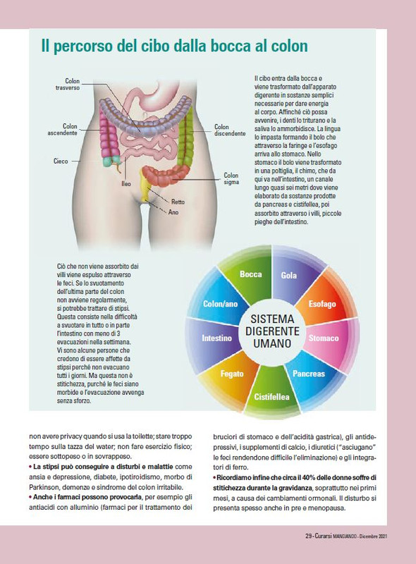 Cur Mang Dic 2021 (4)
