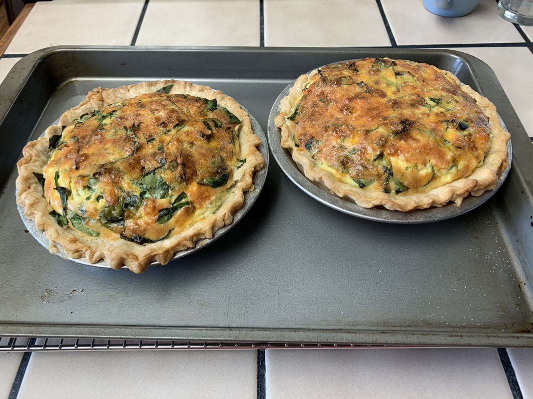 quiche