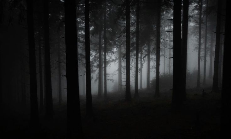 Untitled357-20250429104052.png