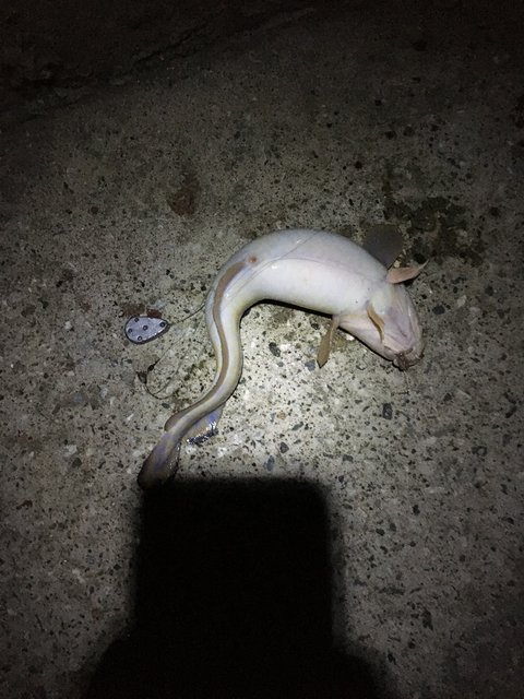 29FA655B-EE76-4C0D-865A-B640536F8EB4