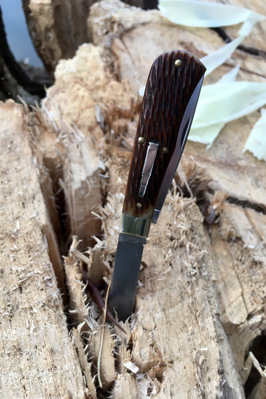 653DF8AA-D456-4E43-852E-9F30DDB34AE4