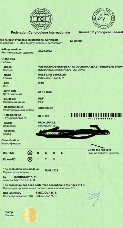 9f--BpEYyubnhbxuNV48phvcwXnDCpDlo9SkYL9vQwSyzGDEFRK3b01vkM0zFQrYzMzwrFRknq9aBOk_gAAN9ily