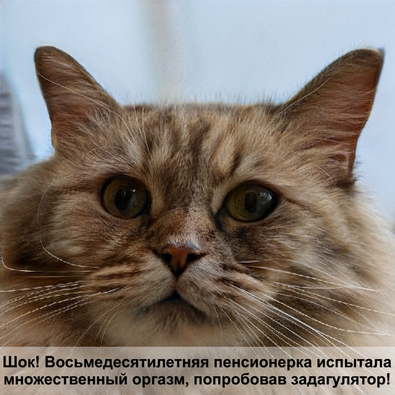 окрас кошки коричневый полосатый