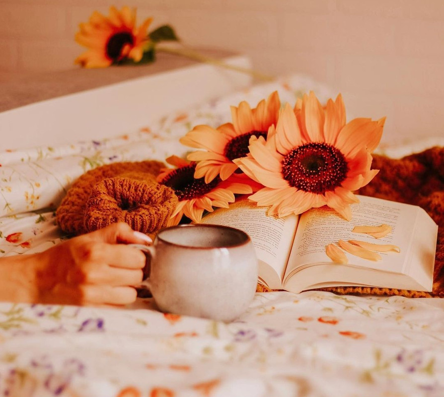 Screenshot_20231204_001444_Instagram