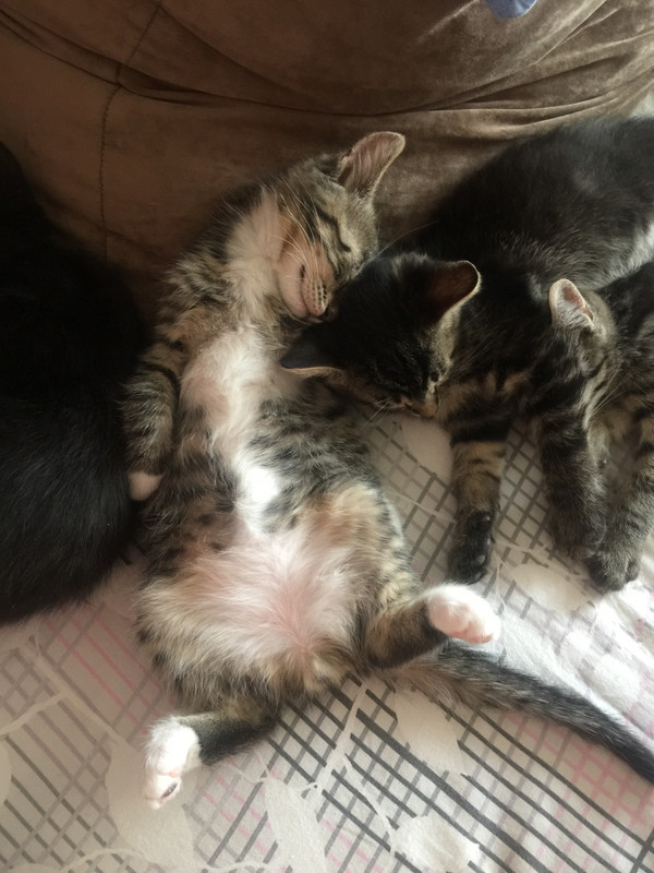 4BCBC1EC-6302-45D5-9DDC-9E9C7FC66C51