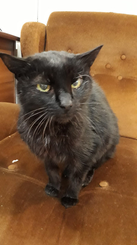 F2AD6F8C-D201-4587-9F06-12E6F89C7A0B