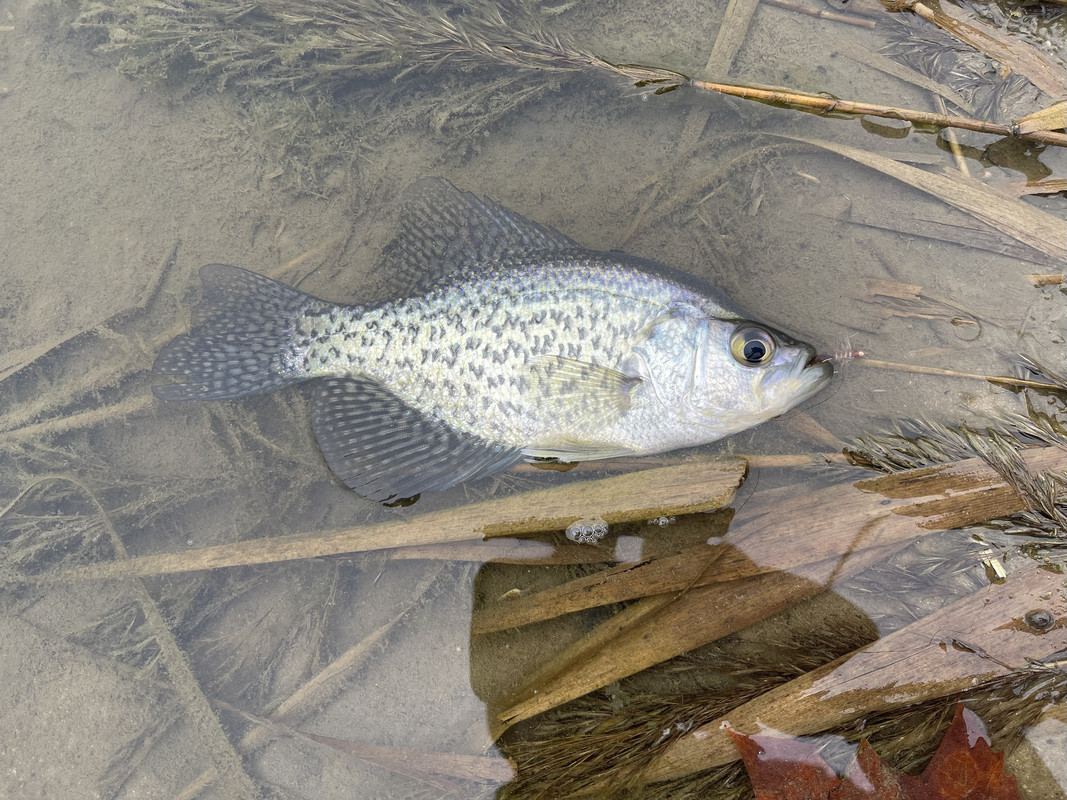 2215A9CC-9F7F-4E87-AF59-F846DDEE6072