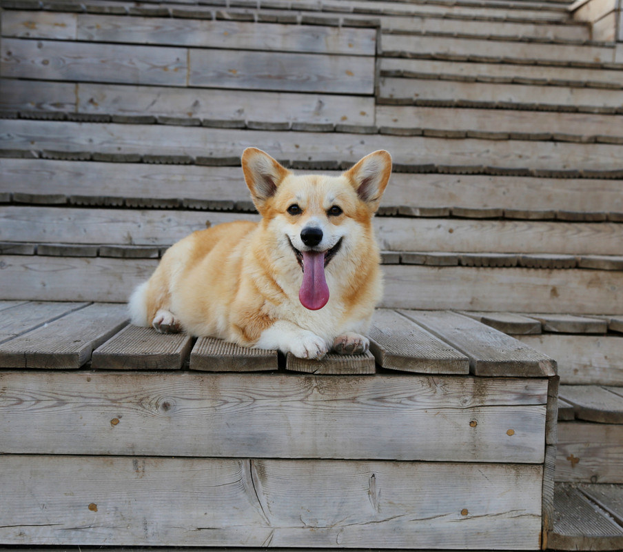 IMG_7908    17.07.21 АК Байрон