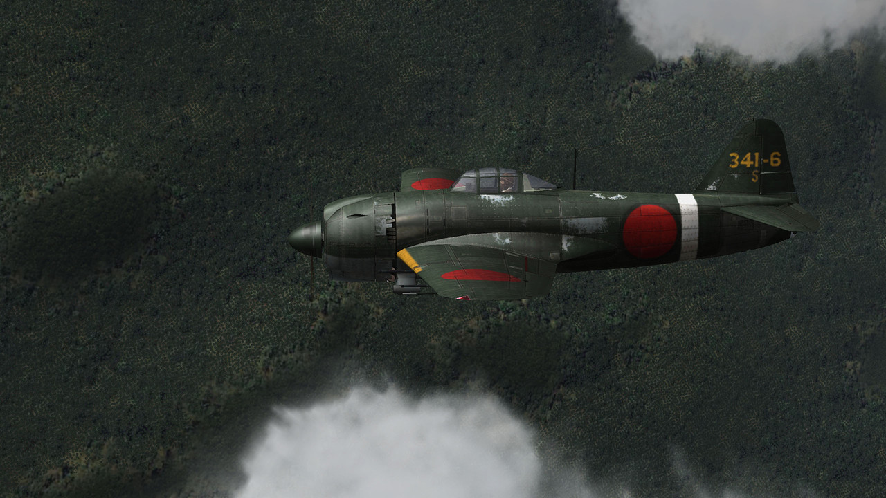 N1K1-Ja - 341st Kokutai, Philippines mid 44 -----