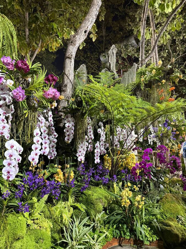 Блестяшки и вкусняшки: Новый Год в Чиангмае, Хуахин, Бангкок