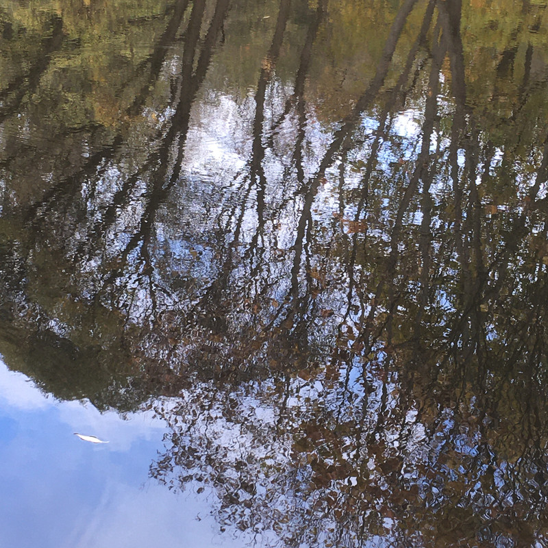 последнее с айфона 042