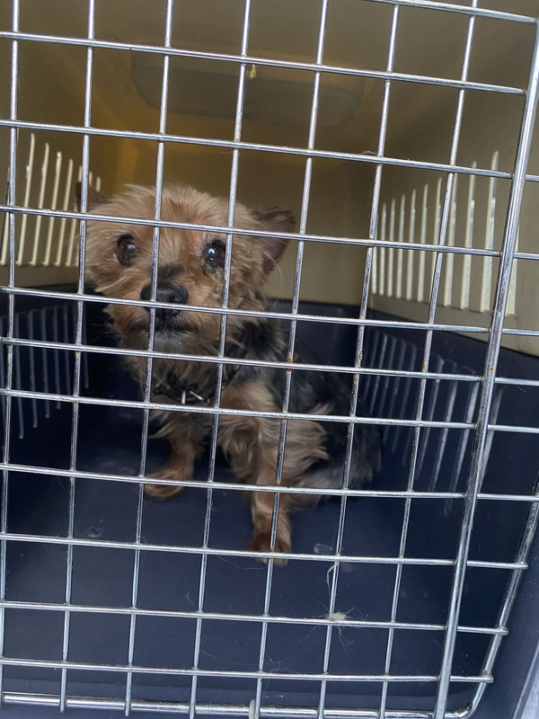 F2B2D299-03F7-4BA2-B40C-9B5AAEF8A1A2