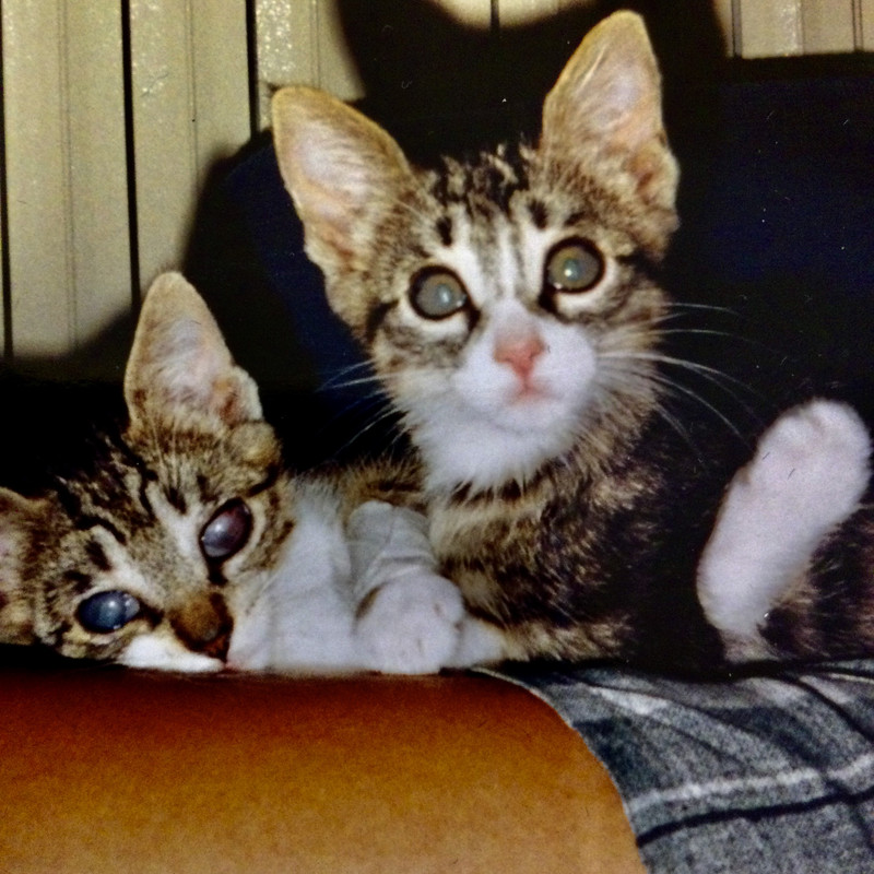 BE8BA22C-C9BE-4D1F-A2FD-431F67F7B1BE