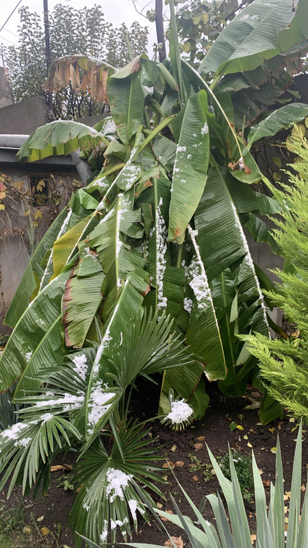 EE7F9C05-38E0-4D9F-8C36-DAFD5C720802