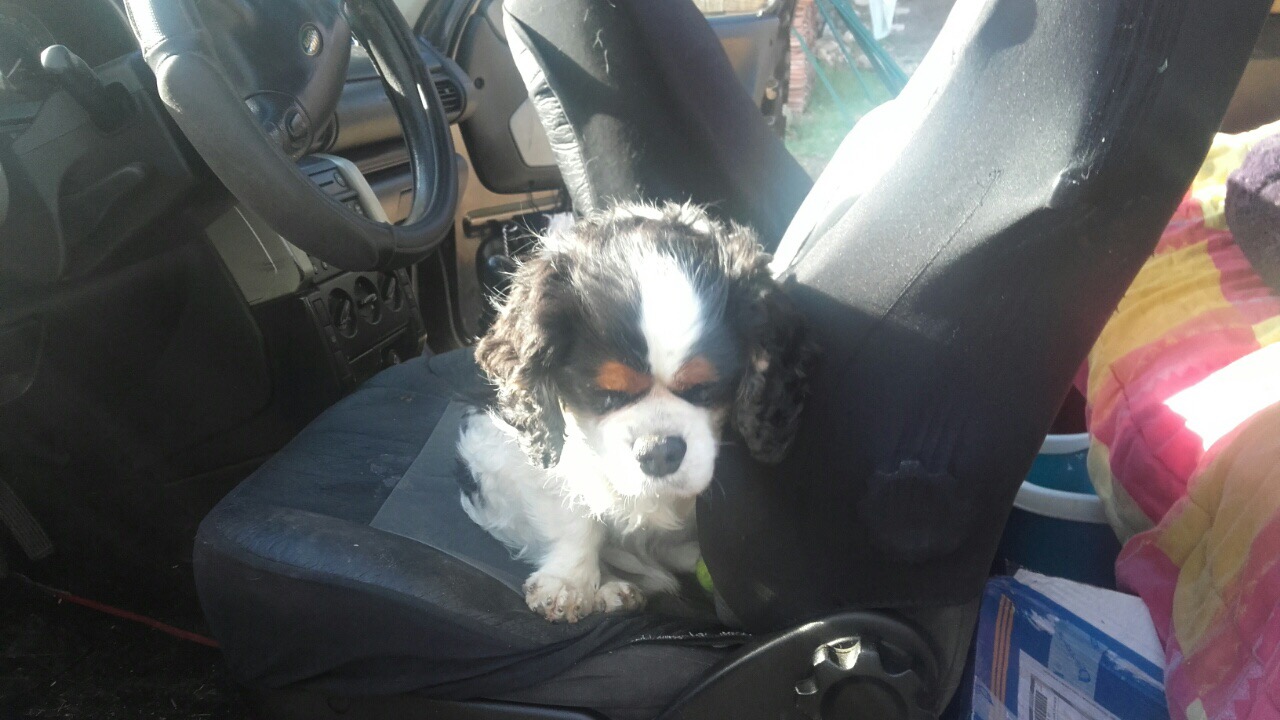 57C36118-D193-4238-A23B-5934133603A6