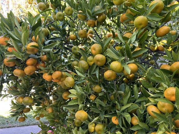 [Image: IMG-1662.jpg]