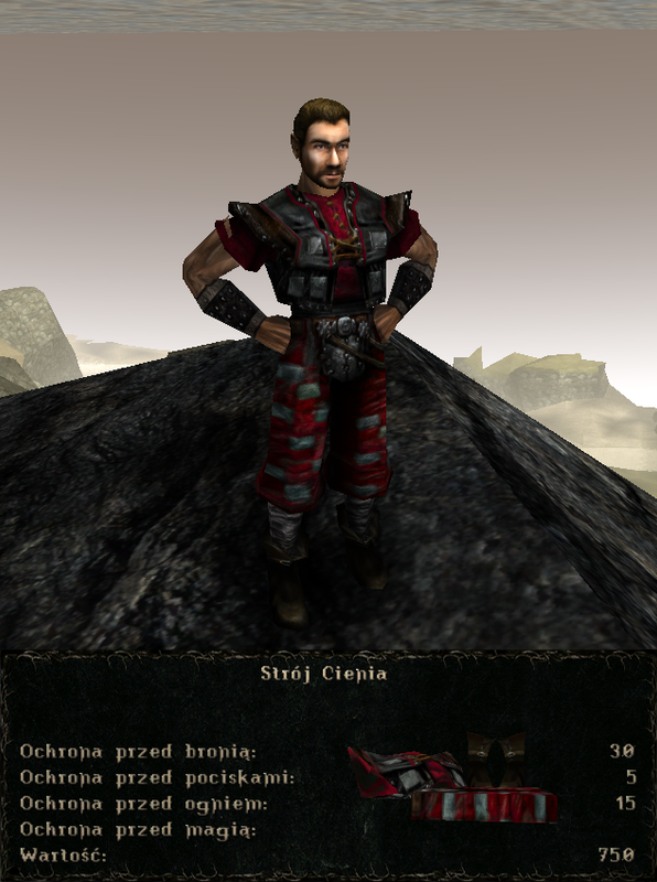pancerze i ubrania (28)