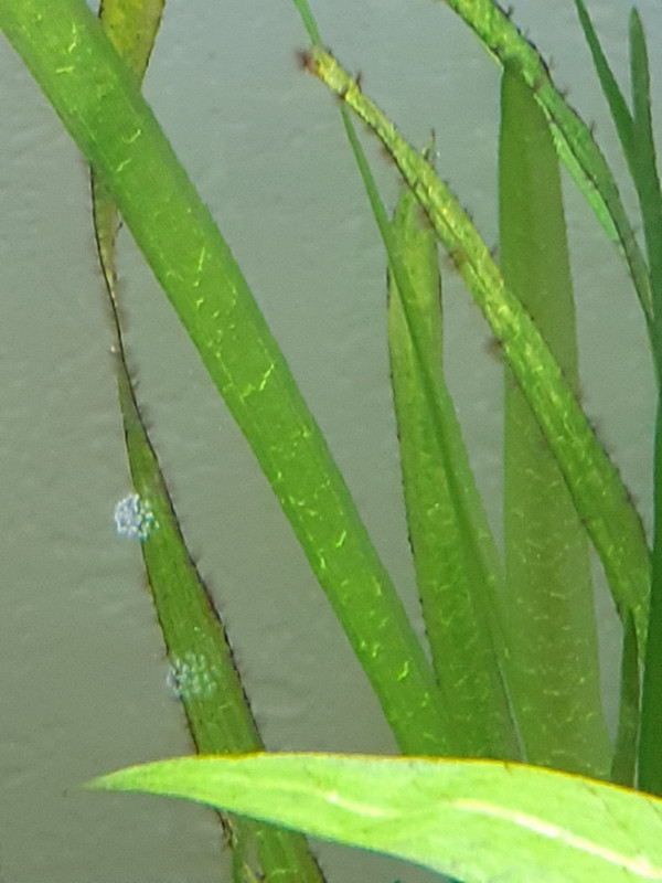 Resized_20220502_194910