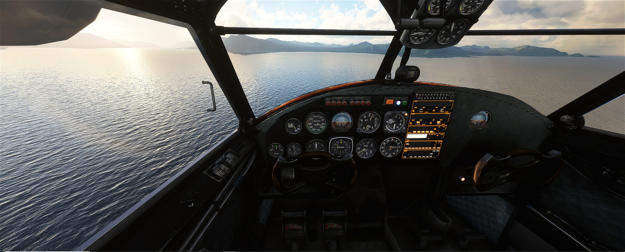 Goose-24.jpg