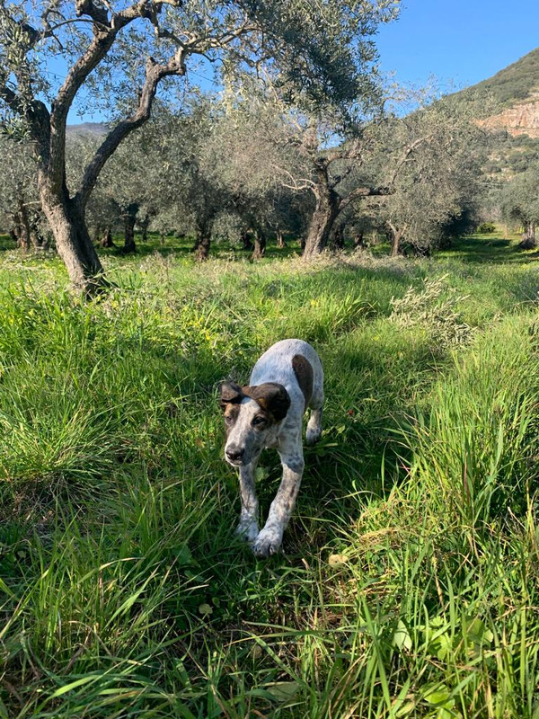 CA7EB2A8-0B2A-4CCC-923E-8640B328B750