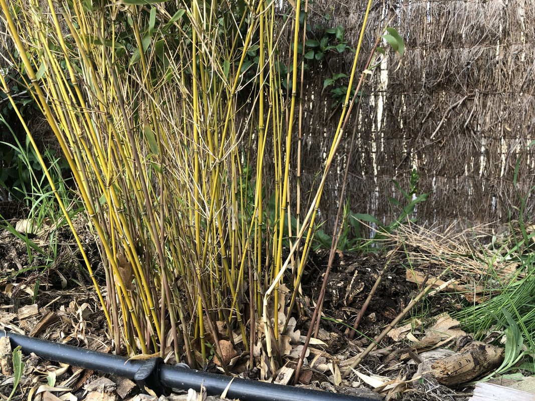 71410372-34D8-45FF-8616-4360C247099C