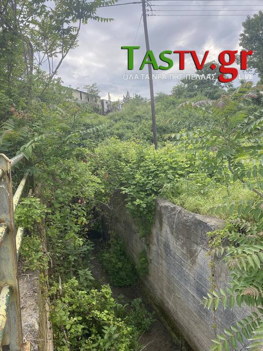 440195852-814933077156449-8318809794198419344-n