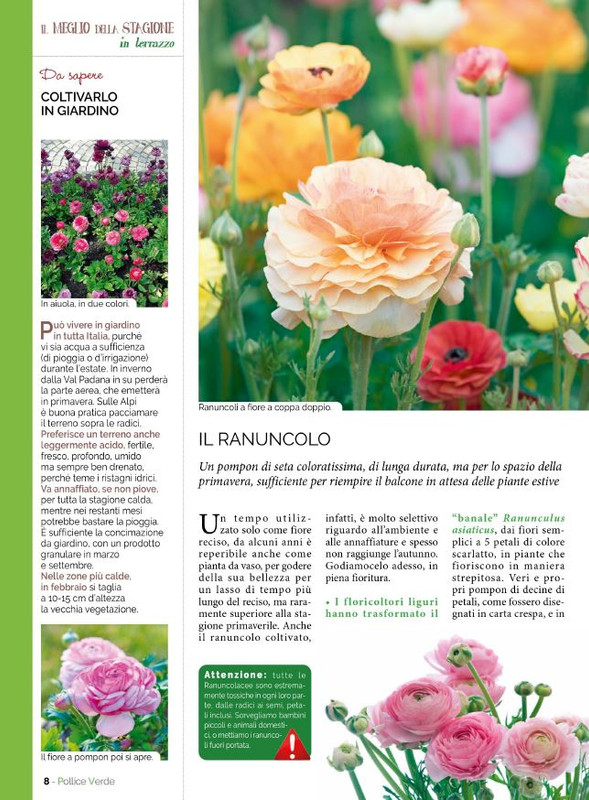 Pol Ver Mar 2023 (1)