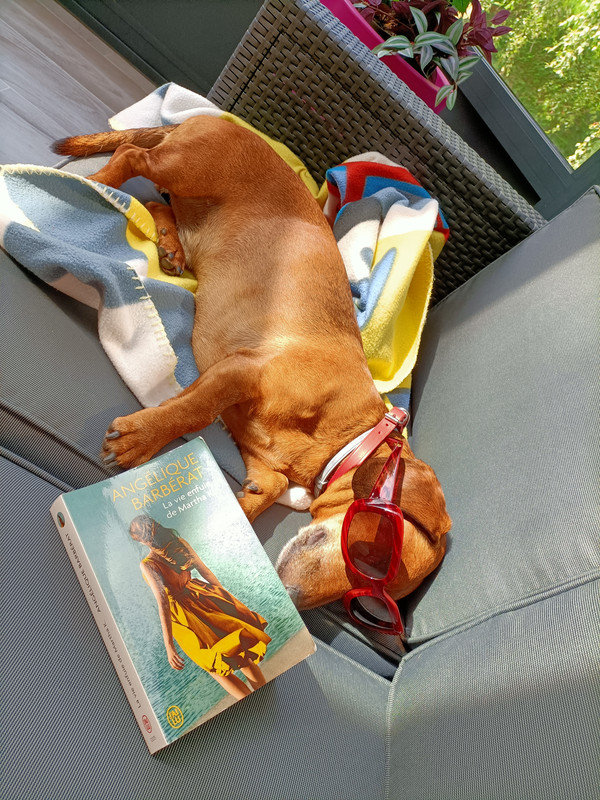 [Image: IMG20210703171357-1.jpg]