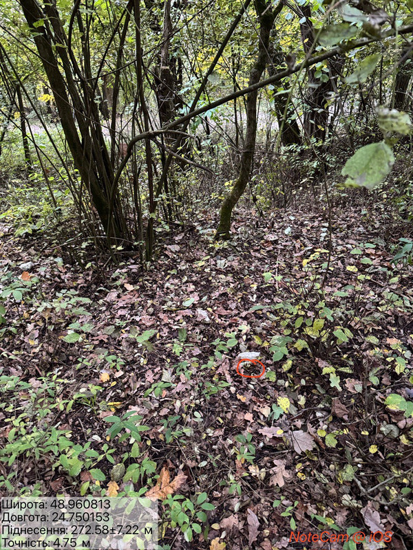 154338f924a053c94429d04841424f437cf5