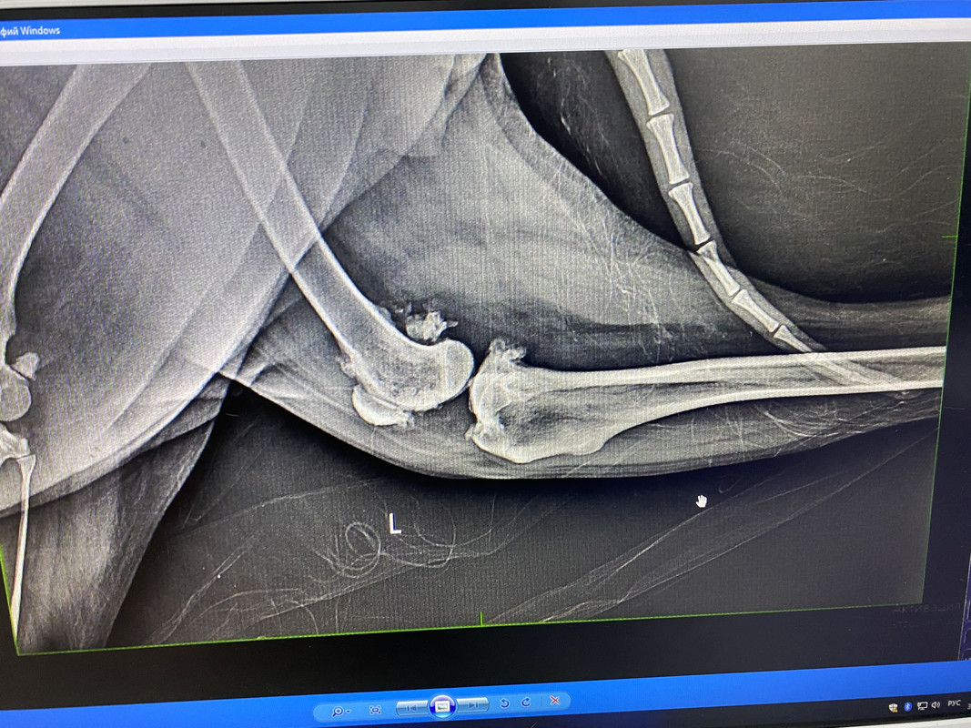 84334B6F-E417-46DC-A277-83BC0F1EC499