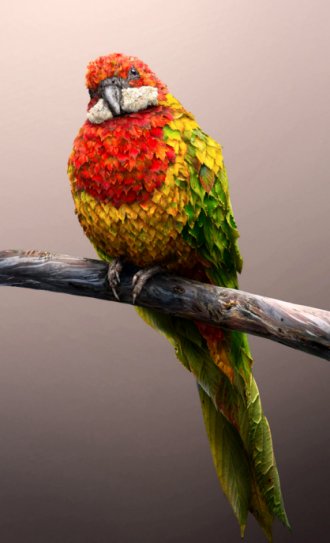 nature.jpg