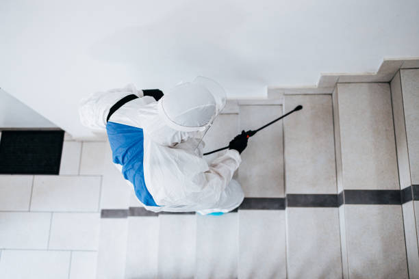 Termite Treatment Orlando