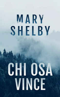 Mary Shelby – Chi osa vince (2021)