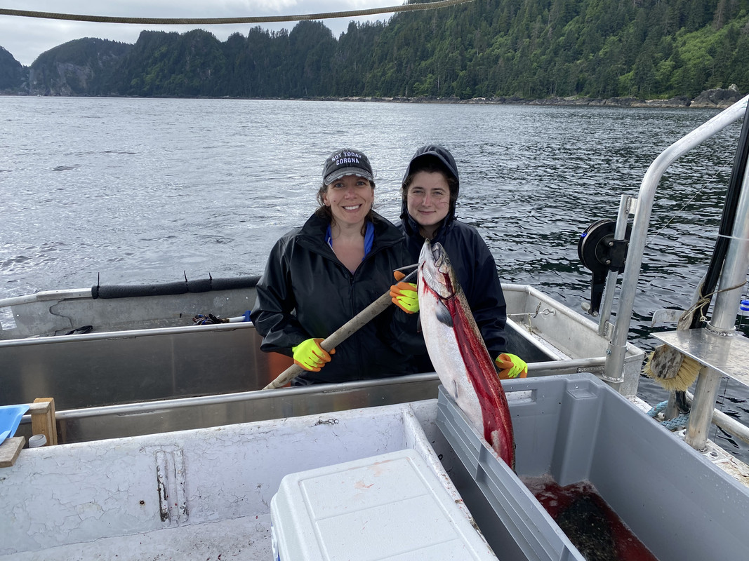 061624BA-E819-4AE9-AAC3-410D78343870