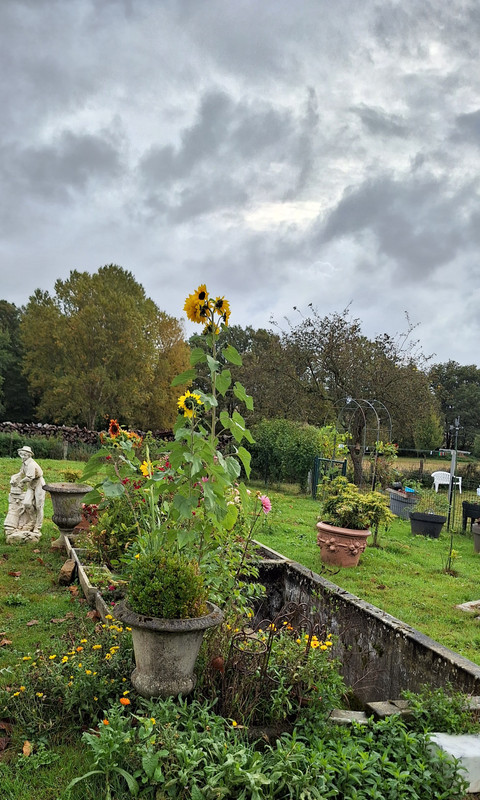 [Image: 20231003-104400.jpg]