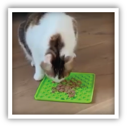 Site-Web-vignette-Instagram-Tapis-de-lechage-35