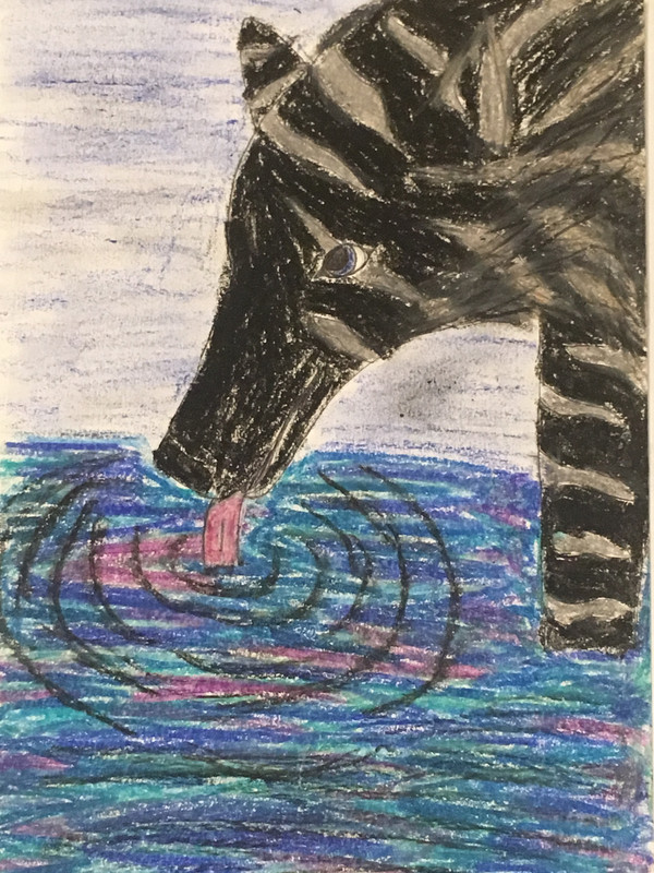 Wolf — Postimages