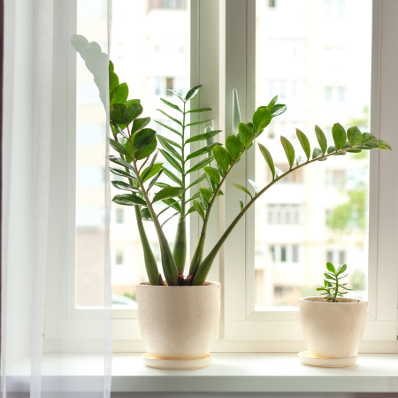 podpórki do kwiatów 2