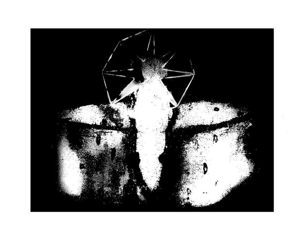 Screenshot_20250311_092432_com.android.chrome-01