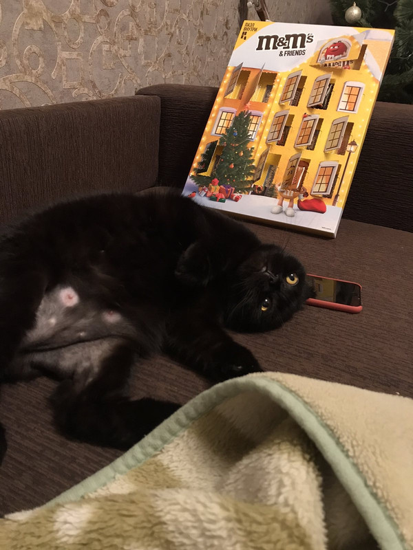 C420490C-A587-4D63-BB76-955FE2FE032E