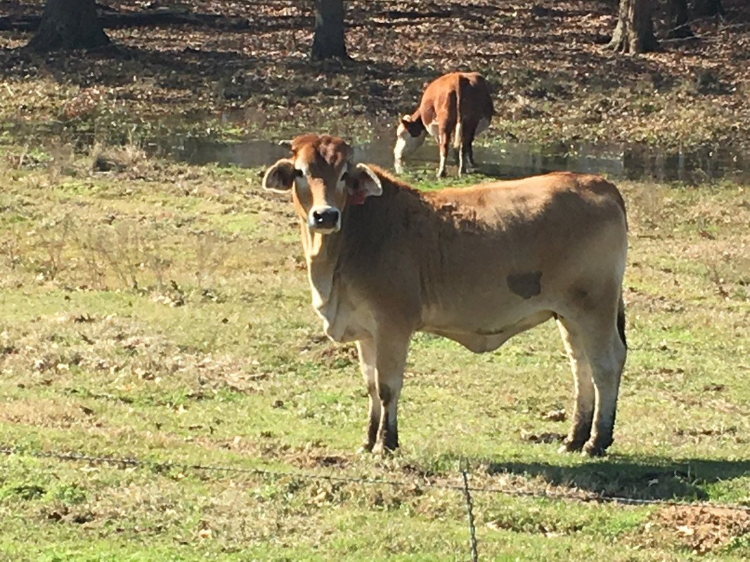 035B8C06-1F00-4AE0-A4E2-E82DE1C44DFE