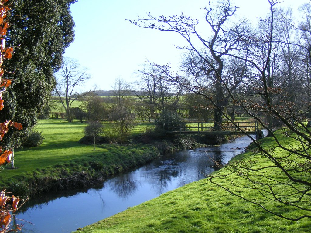 DSCF6480.jpg