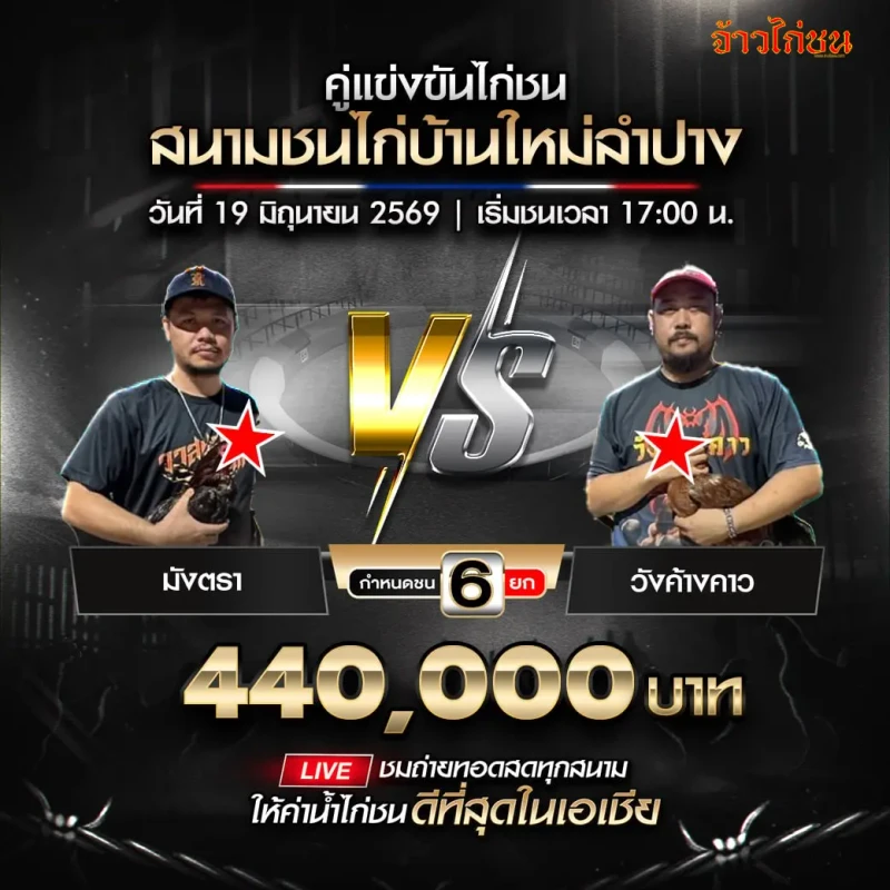 มังตรา พบ วังค้างคาว โปรแกรมไก่ชน สนามชนไก่บ้านใหม่ลำปาง 19 มิถุนายน 2569