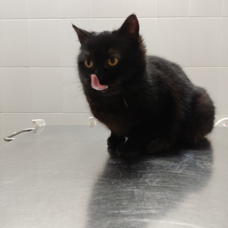 3D94F52C-E901-4C16-AAED-D05B16BAE170