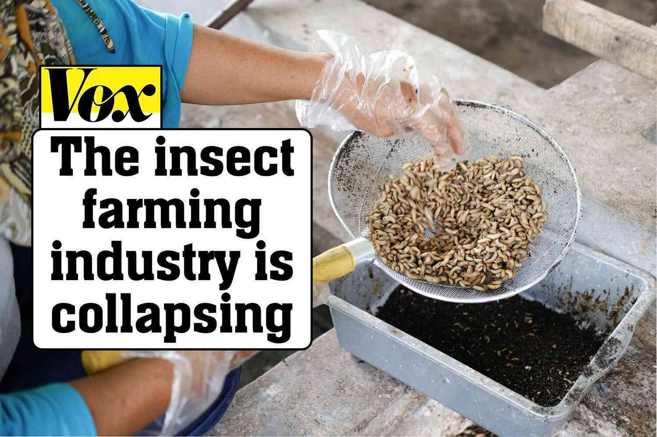 69b413e89392969b413e89392a